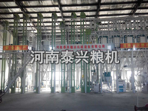 100噸級玉米加工設備